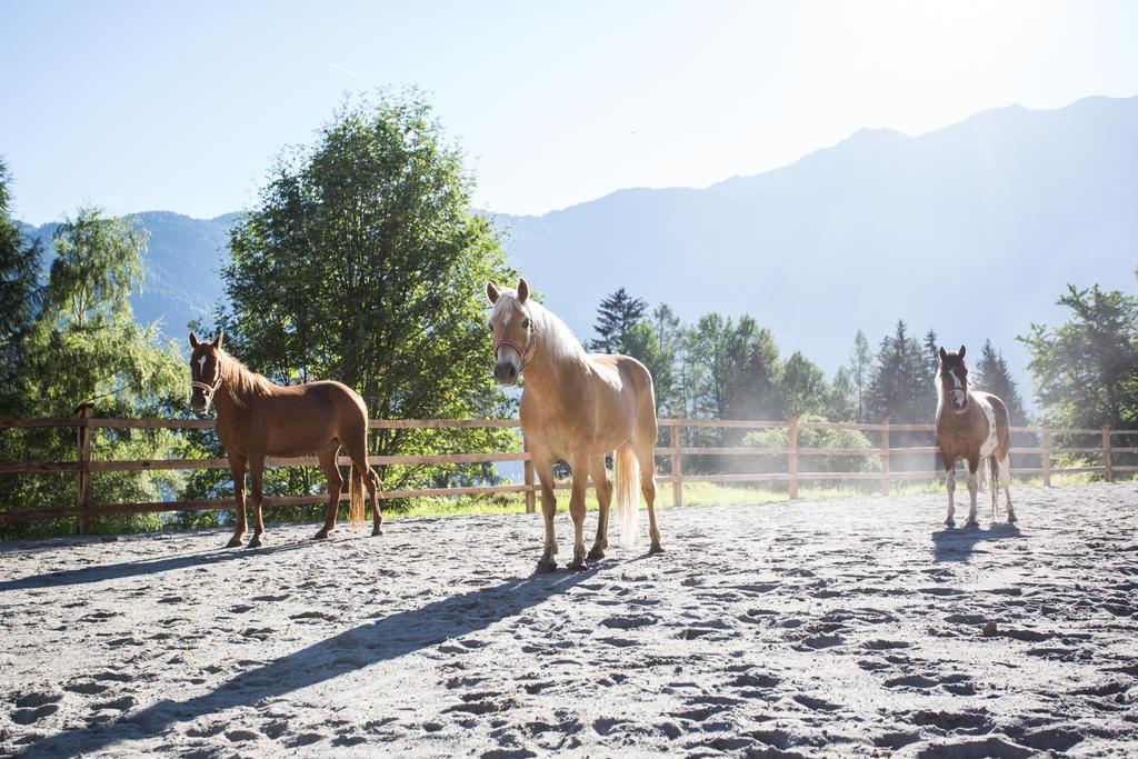 Ferienwohnungen Oetztal Sautens Bagian luar foto